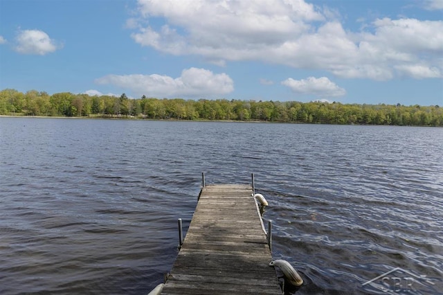 3485 Lakeshore Dr, Lupton, MI 48635 - dock area with a water view and a wooded view
