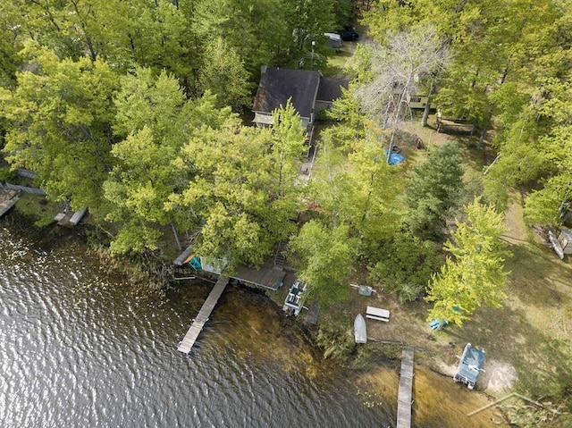 3485 Lakeshore Dr, Lupton, MI 48635 - aerial view of a large body of water