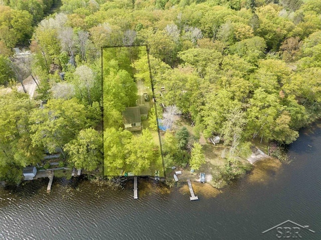 3485 Lakeshore Dr, Lupton, MI 48635 - aerial view of property's location featuring a nearby body of water, property boundaries highlighted, and a forest