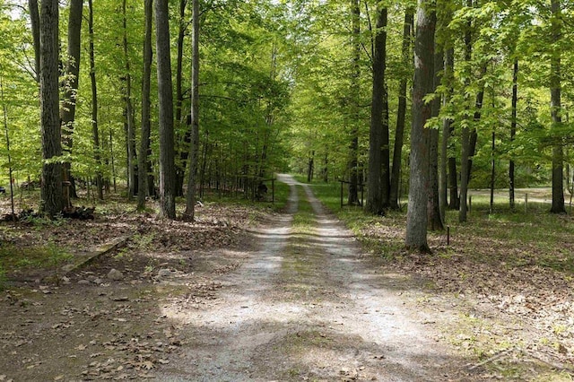 3485 Lakeshore Dr, Lupton, MI 48635 - view of dirt / gravel road featuring a view of trees
