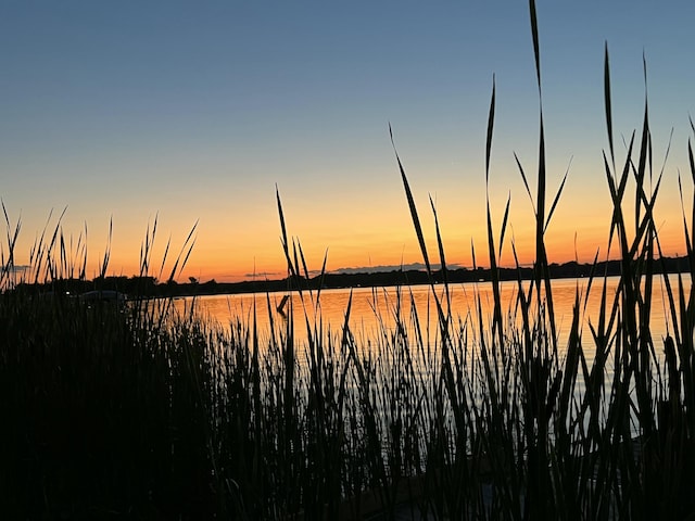 8680 Dexter Pinckney Rd, Pinckney, MI 48169 - water view