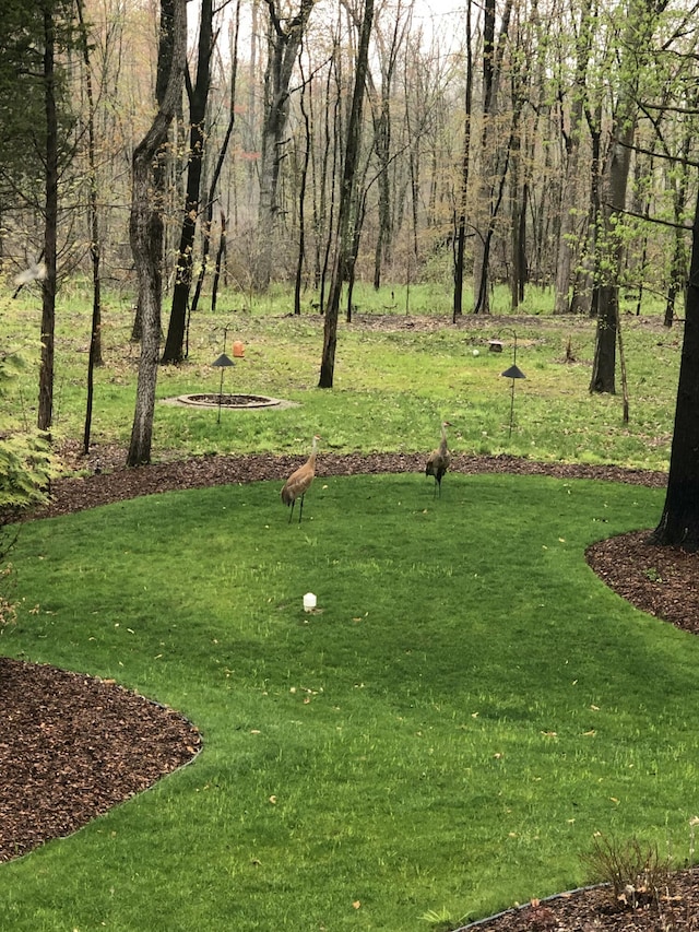 8680 Dexter Pinckney Rd, Pinckney, MI 48169 - view of green lawn