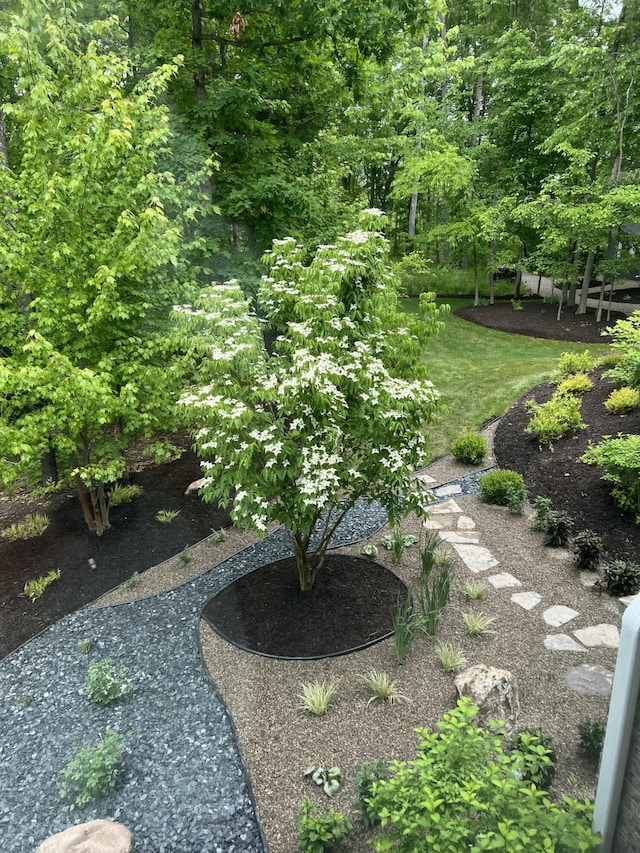8680 Dexter Pinckney Rd, Pinckney, MI 48169 - view of yard