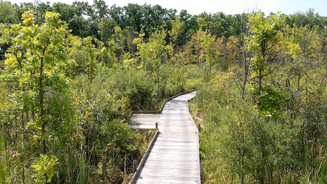 8680 Dexter Pinckney Rd, Pinckney, MI 48169 - view of property's community featuring a wooded view