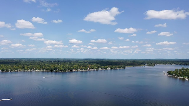 8680 Dexter Pinckney Rd, Pinckney, MI 48169 - water view with a heavily wooded area