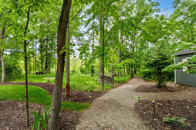 8680 Dexter Pinckney Rd, Dexter, MI 48130 - photo 52