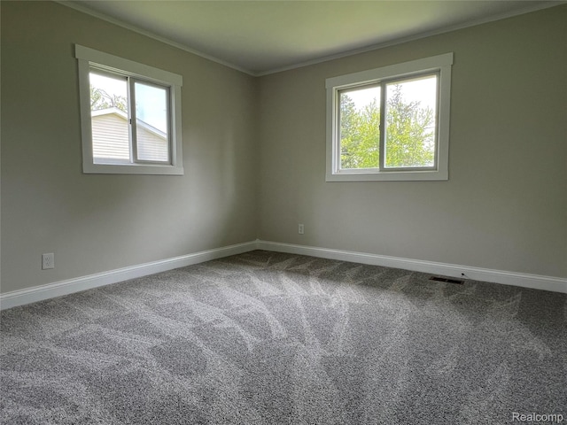 5327 E Carpenter Rd, Grand Blanc, MI 48506 - unfurnished room featuring crown molding, healthy amount of natural light, and carpet floors
