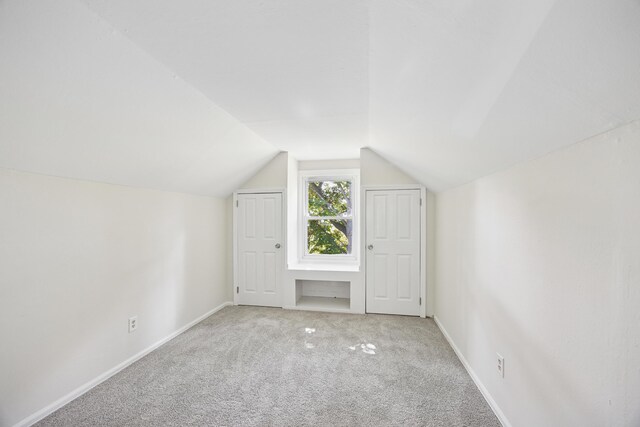 1201 Shady Ln, Tecumseh, MI 49286 - photo 20