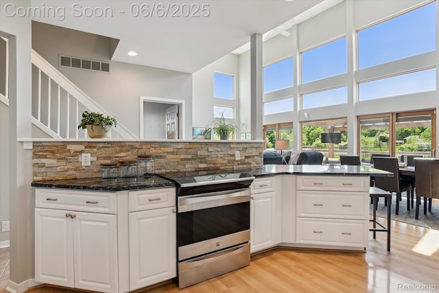 4118 Shoreview Ln, Whitmore Lake, MI 48189 - kitchen featuring electric stove, plenty of natural light, decorative backsplash, light wood finished floors, and recessed lighting