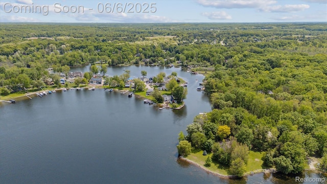 4118 Shoreview Ln, Whitmore Lake, MI 48189 - drone / aerial view of a forest and a nearby body of water