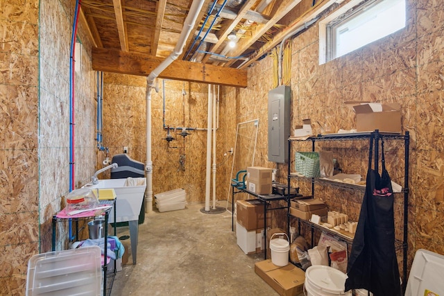 10 Windswept Ln, Hillsdale, MI 49242 - storage area with electric panel and a sink
