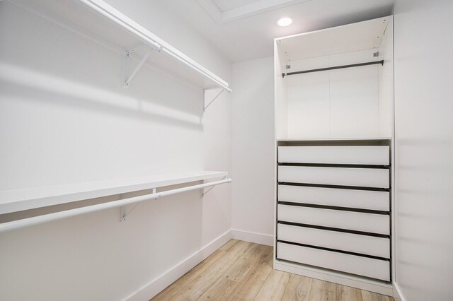 6646 E Eagle Lake Dr, Kalamazoo, MI 49009 - spacious closet with light wood-style flooring