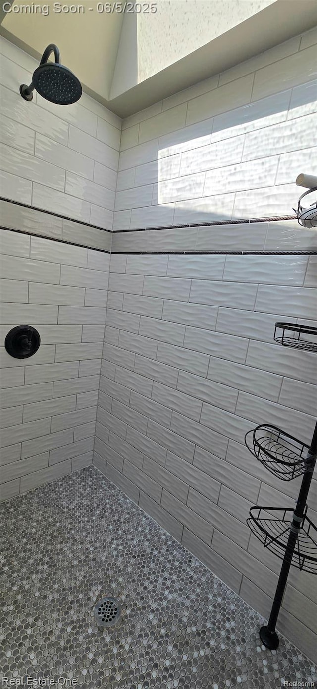 3825 Thomas Rd, Oxford, MI 48371 - bathroom featuring tiled shower