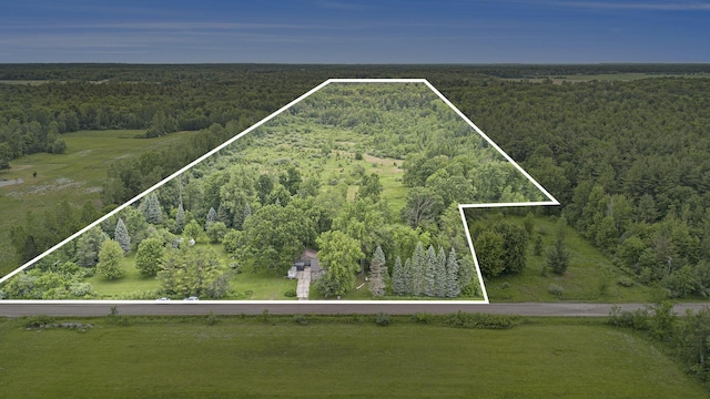 2146 W Pinconning Rd, Rhodes, MI 48652 - photo 1