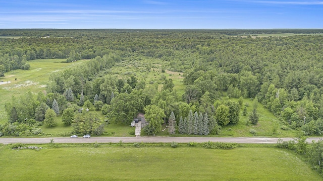 2146 W Pinconning Rd, Rhodes, MI 48652 - photo 5