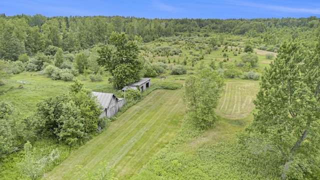 2146 W Pinconning Rd, Rhodes, MI 48652 - photo 7