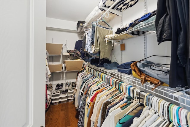 10172 Clarkshire Ct, South Lyon, MI 48178 - walk in closet with wood finished floors