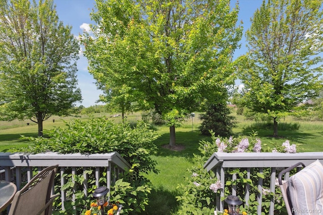 10172 Clarkshire Ct, South Lyon, MI 48178 - view of grassy yard
