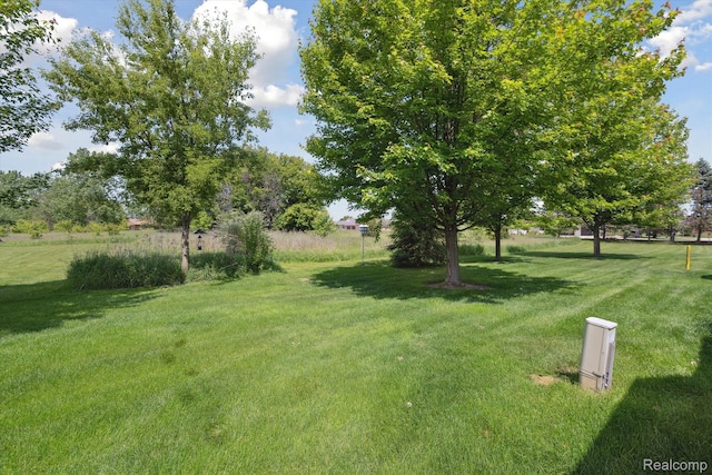 10172 Clarkshire Ct, South Lyon, MI 48178 - view of green lawn
