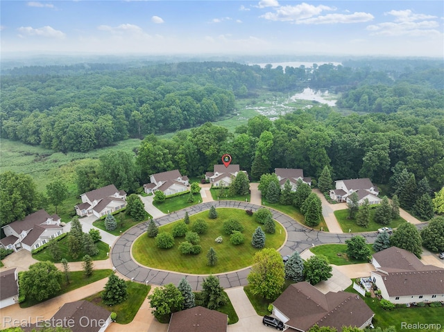 8859 Redstone Dr, Pinckney, MI 48169 - aerial view of residential area with a heavily wooded area