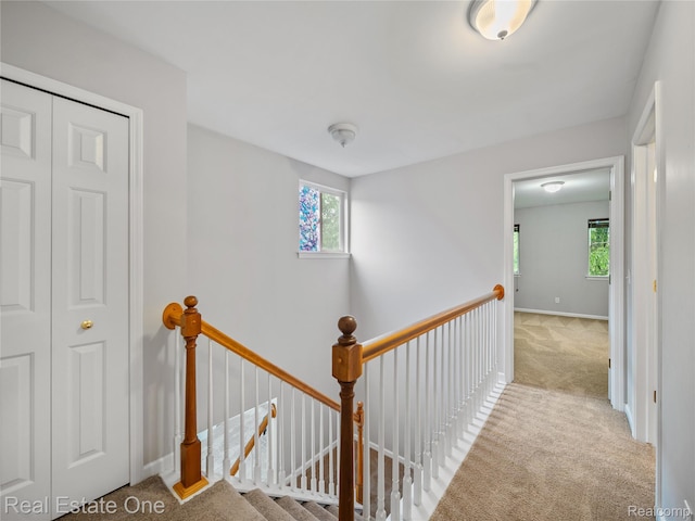 8859 Redstone Dr, Pinckney, MI 48169 - hall featuring an upstairs landing, carpet flooring, and baseboards