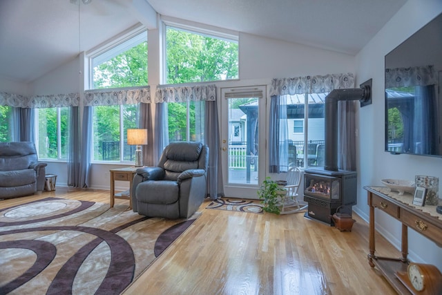 66 Meridian Ct, Mount Pleasant, MI 48858 - living area with a wood stove, wood finished floors, and baseboards