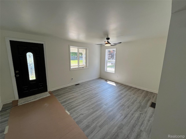 1015 9th St, Port Huron, MI 48060 - entryway featuring wood finished floors and ceiling fan