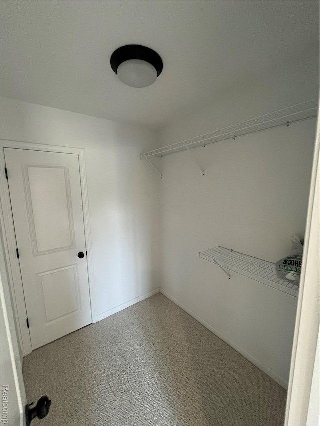 1015 9th St, Port Huron, MI 48060 - view of spacious closet