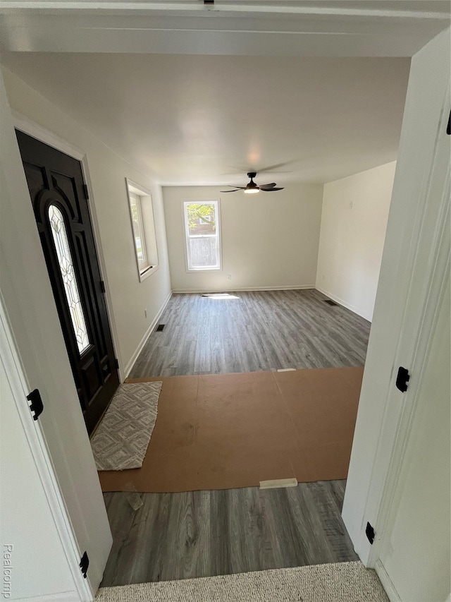 1015 9th St, Port Huron, MI 48060 - foyer entrance featuring wood finished floors and ceiling fan