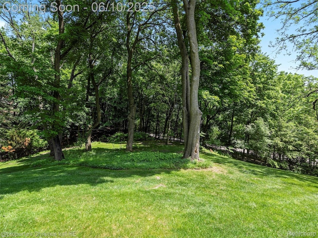 4383 Pine Tree Trl, Bloomfield Hills, MI 48302 - view of green lawn with a wooded view