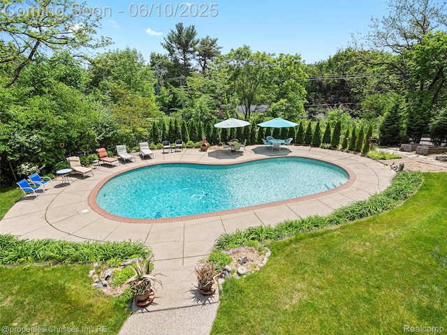 4383 Pine Tree Trl, Bloomfield Hills, MI 48302 - swimming pool with a patio and a yard