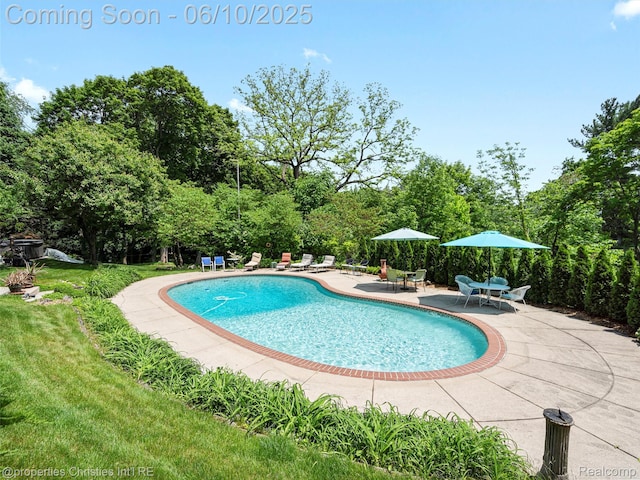 4383 Pine Tree Trl, Bloomfield Hills, MI 48302 - outdoor pool featuring a patio area, a lawn, and view of wooded area