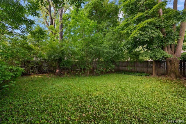 2829 Dorchester Rd, Birmingham, MI 48009 - view of yard