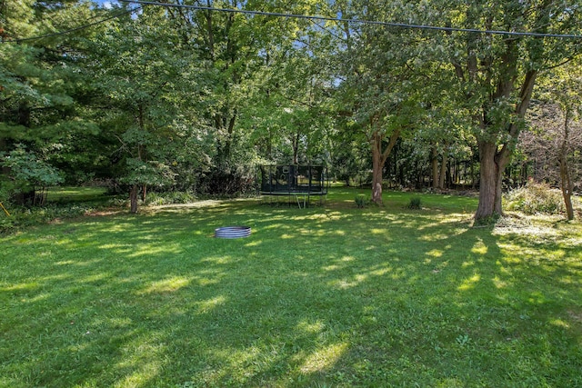 660 Sylvanwood Dr, Troy, MI 48085 - view of grassy yard featuring a trampoline