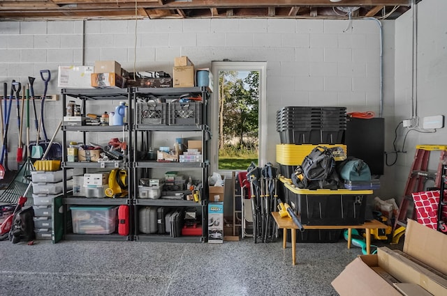 660 Sylvanwood Dr, Troy, MI 48085 - view of storage area