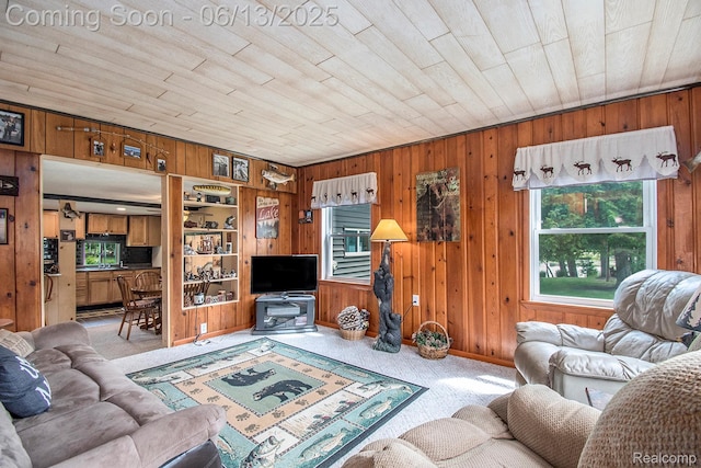 8515 Old State Ave, Farwell, MI 48622 - carpeted living room with wood ceiling and wood walls