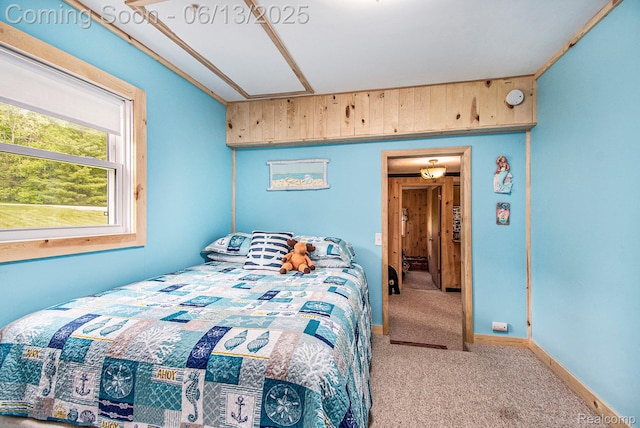 8515 Old State Ave, Farwell, MI 48622 - view of carpeted bedroom