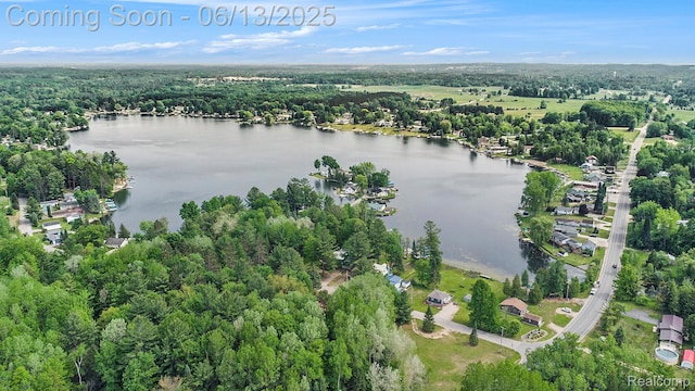 8515 Old State Ave, Farwell, MI 48622 - view of property location with a nearby body of water and a heavily wooded area
