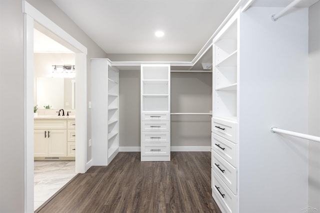 2291 E Maple Rd, Clare, MI 48617 - walk in closet featuring dark wood-style flooring and a sink
