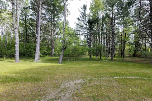 2291 E Maple Rd, Clare, MI 48617 - view of green lawn
