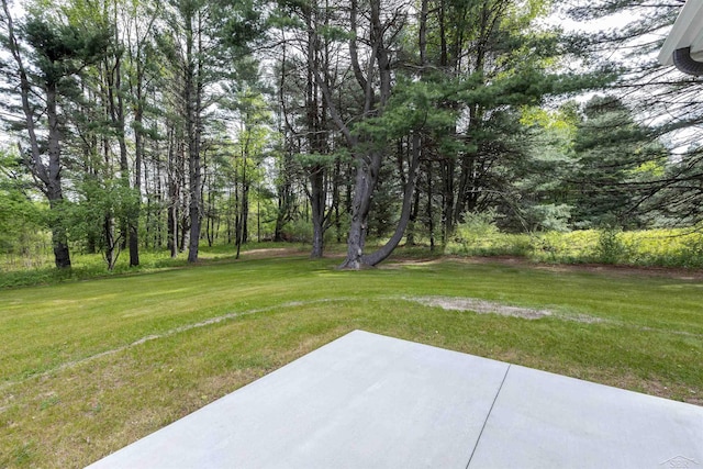 2291 E Maple Rd, Clare, MI 48617 - view of green lawn featuring a patio area
