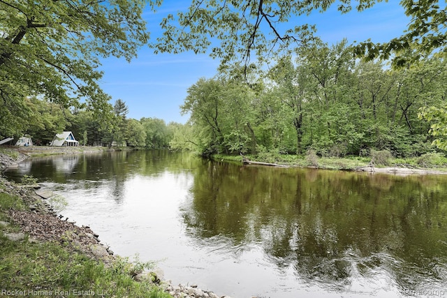 9689 Pine Ln, Evart, MI 49631 - water view featuring a heavily wooded area
