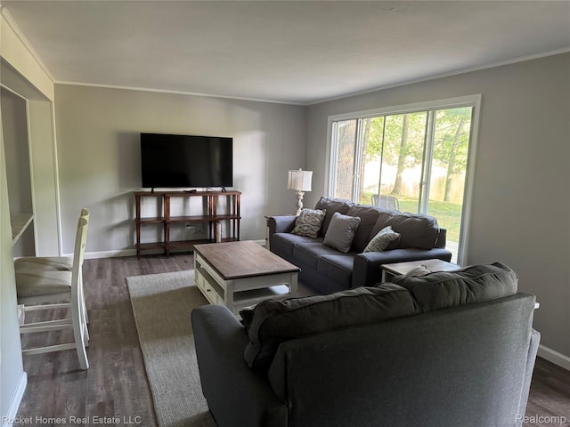 9689 Pine Ln, Evart, MI 49631 - living area with crown molding and dark wood finished floors