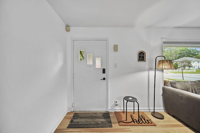 801 Briarcliff Rd, Jackson, MI 49203 - entryway featuring light wood-type flooring and baseboards
