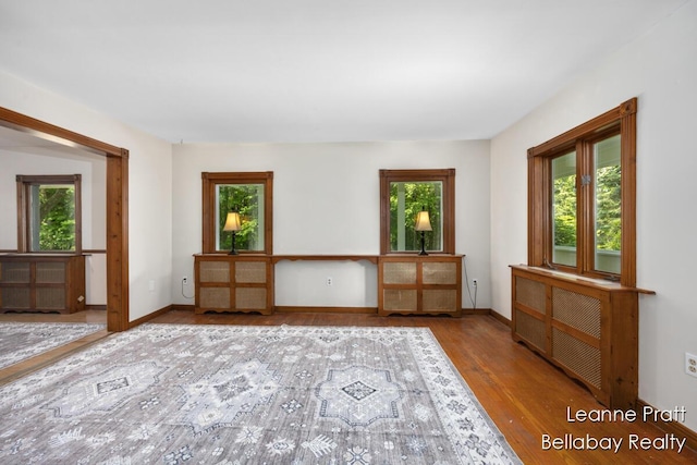 13814 28th St, Lowell, MI 49331 - unfurnished room featuring plenty of natural light and wood finished floors