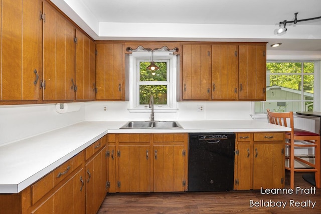 13814 28th St, Lowell, MI 49331 - kitchen with dishwasher, a sink, dark wood-type flooring, and light countertops