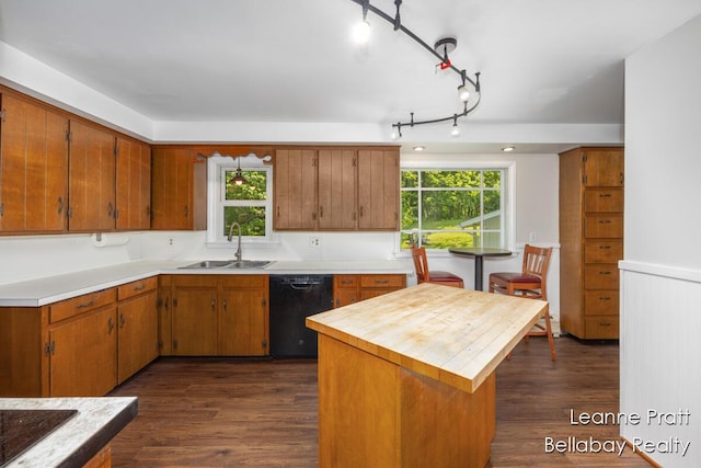 13814 28th St, Lowell, MI 49331 - kitchen featuring dishwasher, a sink, dark wood-style flooring, and plenty of natural light