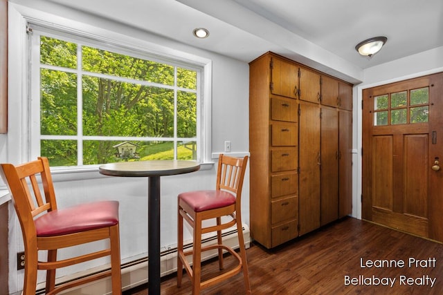 13814 28th St, Lowell, MI 49331 - dining room featuring a baseboard radiator, healthy amount of natural light, and dark wood-style flooring