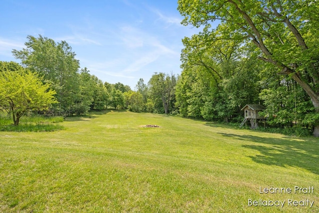13814 28th St, Lowell, MI 49331 - view of green lawn