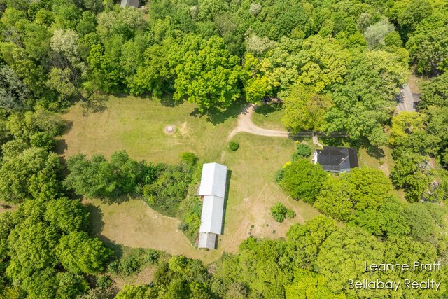 13814 28th St, Lowell, MI 49331 - bird's eye view of a forest